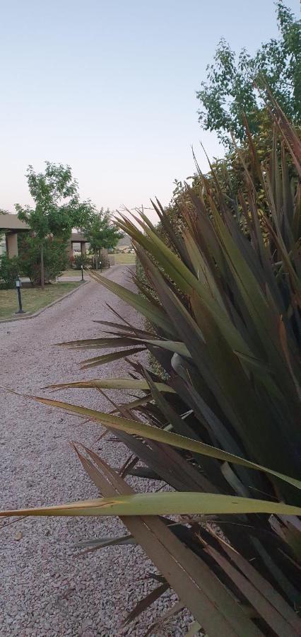 Alto San Andres Bed and Breakfast San Andres de las Sierras Exterior foto